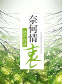 奈何情深奈何缘浅小说全文免费